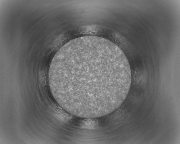 X0000078830370200612041819