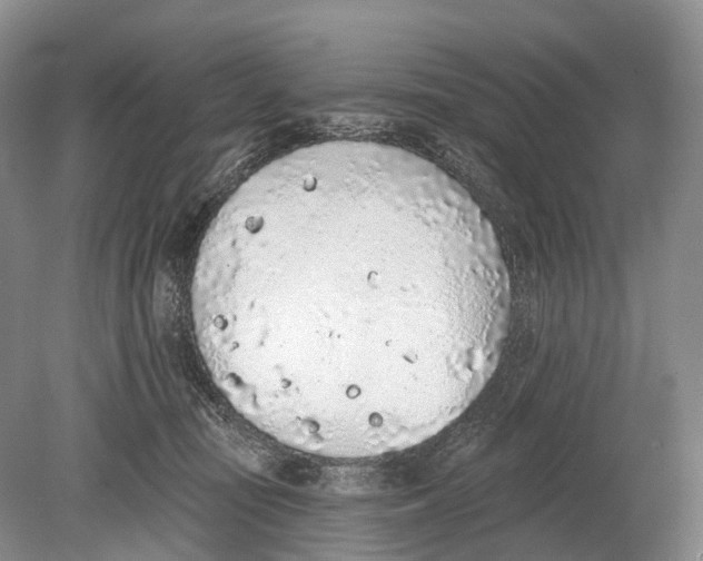 X0000078830371200612041819