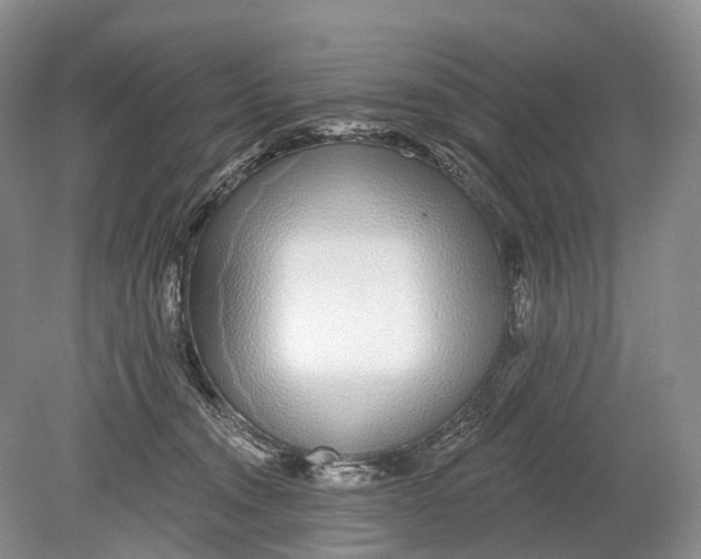 X0000078830372200612041819