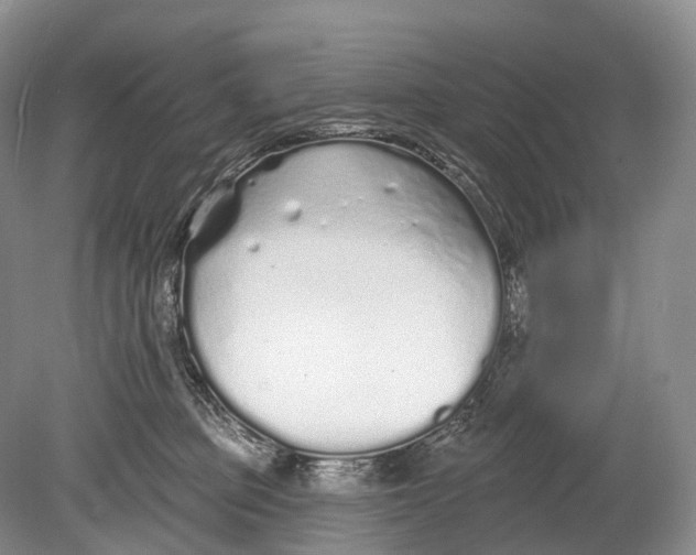 X0000078830373200612041819