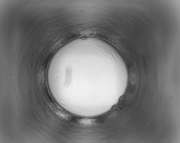 X0000078830375200612041819