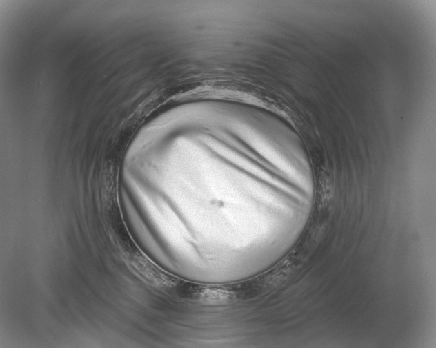 X0000078830376200612041819