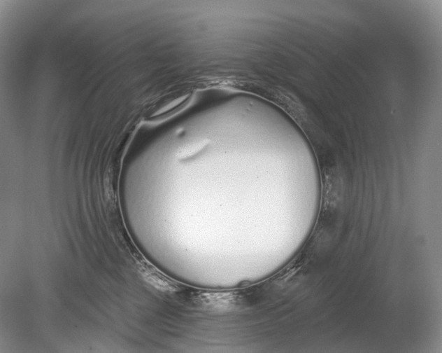 X0000078830377200612041819