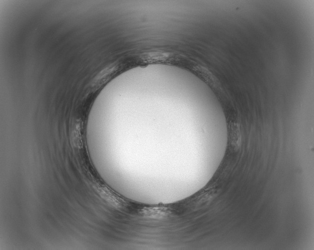 X0000078830378200612041819