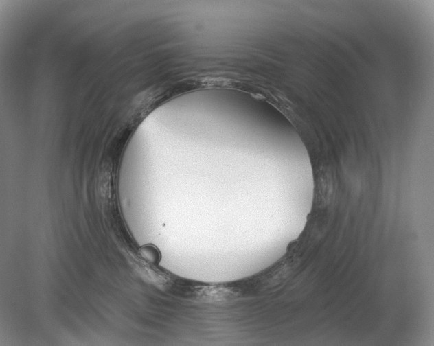 X0000078830379200612041819