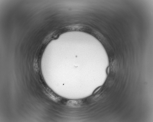 X0000078830381200612041820