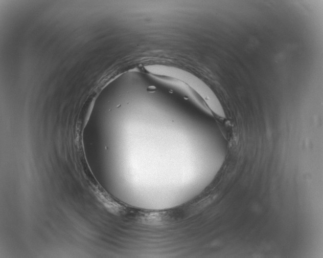 X0000078830382200612041820