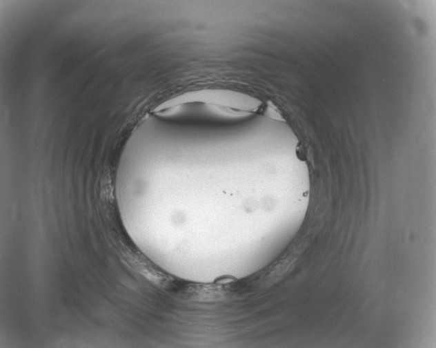 X0000078830384200612041820