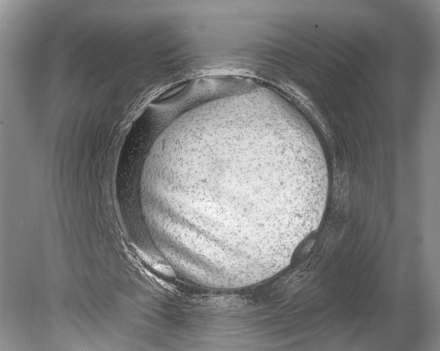 X0000078830385200612041819