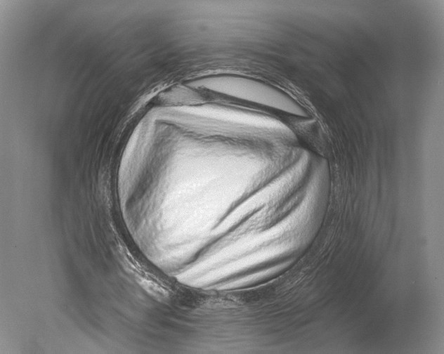 X0000078830386200612041819