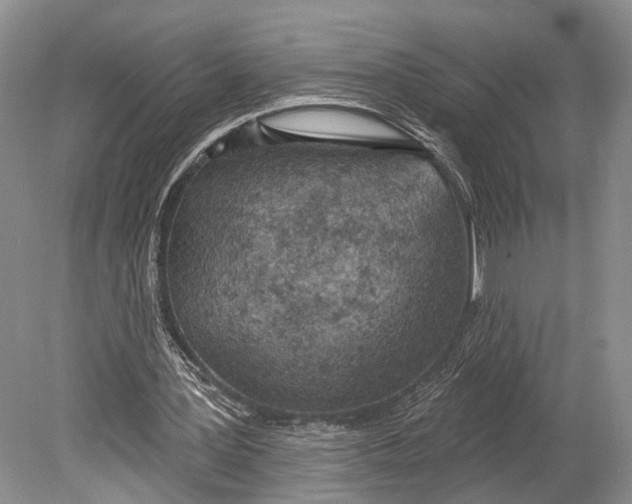 X0000078830387200612041819