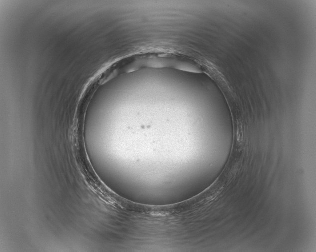 X0000078830388200612041819