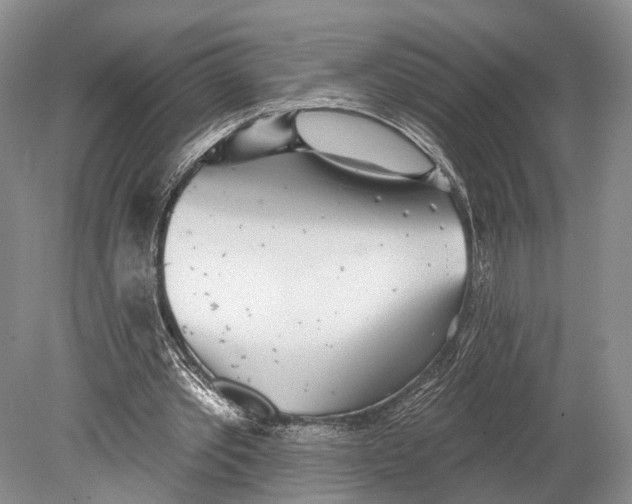 X0000078830389200612041819