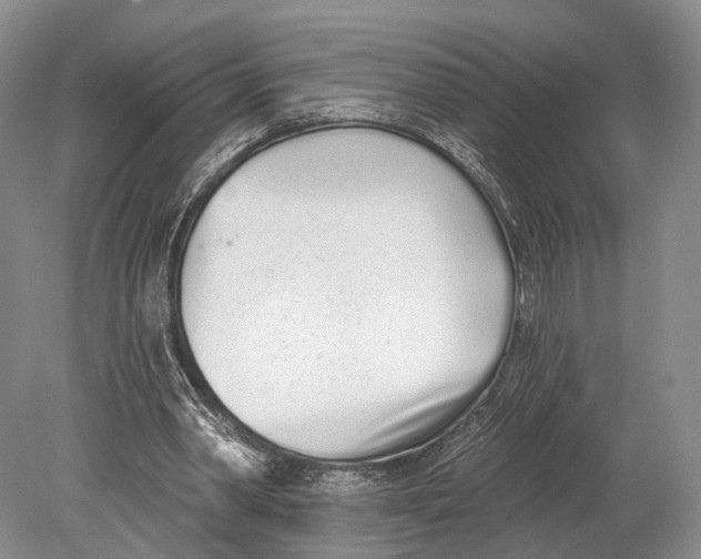 X0000078830390200612041819