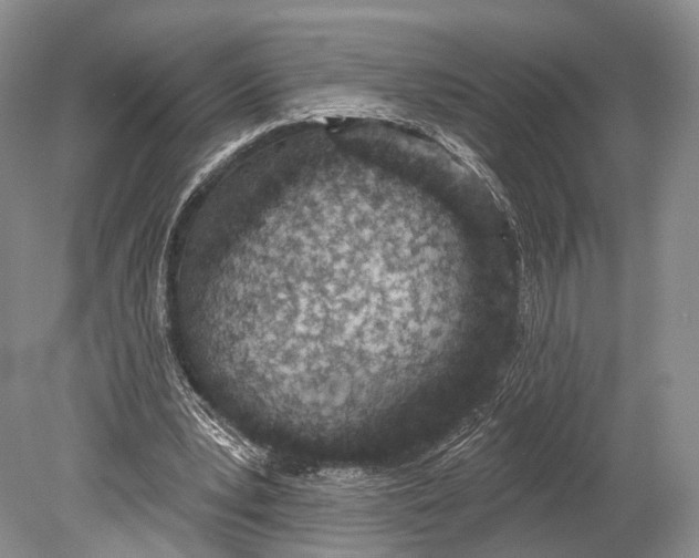 X0000078830391200612041819