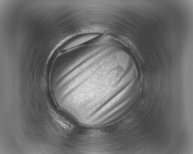 X0000078830392200612041819