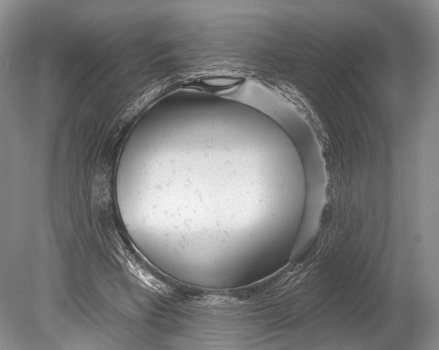 X0000078830393200612041819