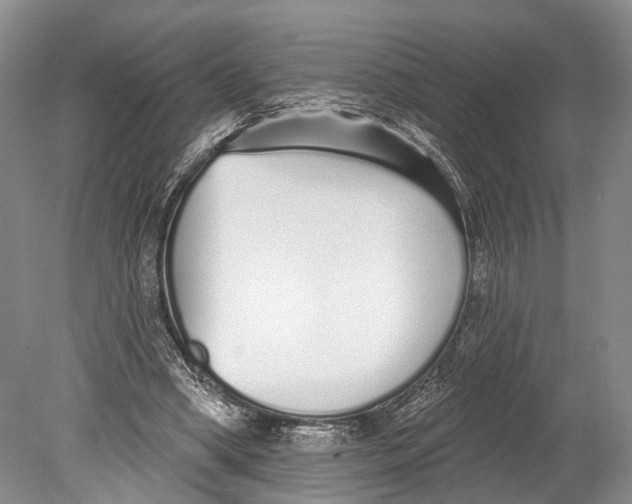 X0000078830394200612041819