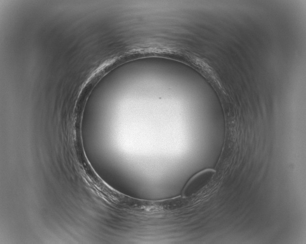 X0000078830395200612041819