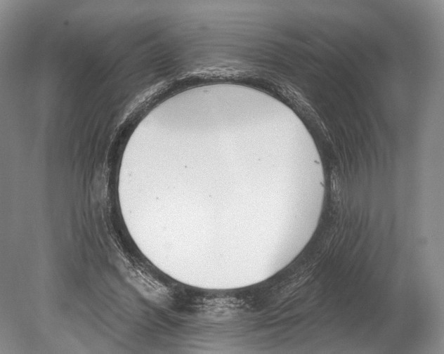 X0000078830396200612041819