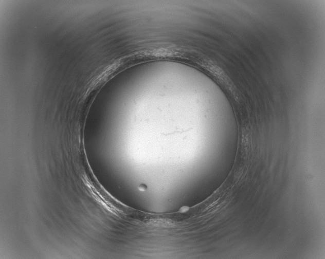 X0000078830397200612041819