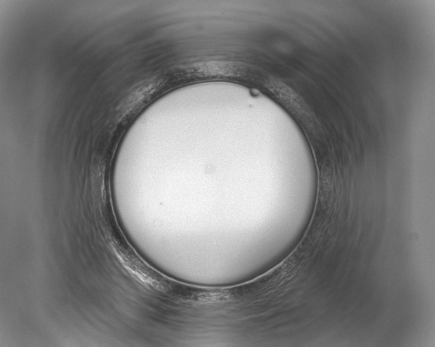 X0000078830398200612041819