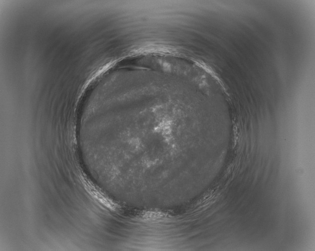 X0000078830399200612041819