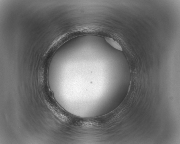 X0000078830400200612041818