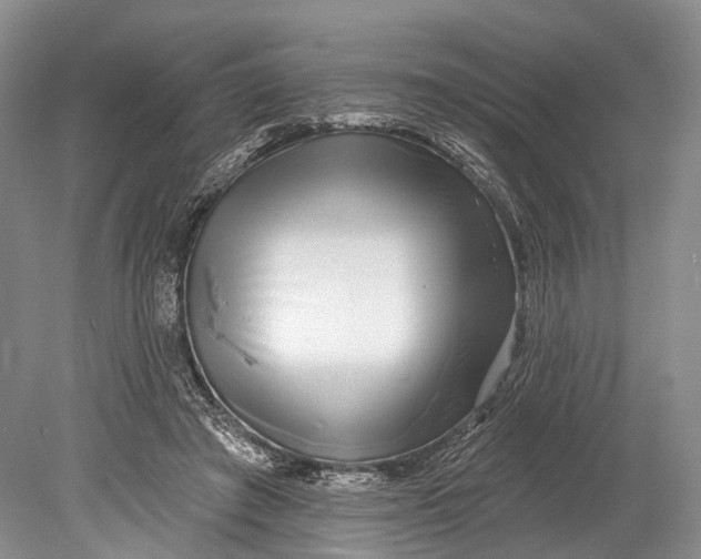 X0000078830401200612041818