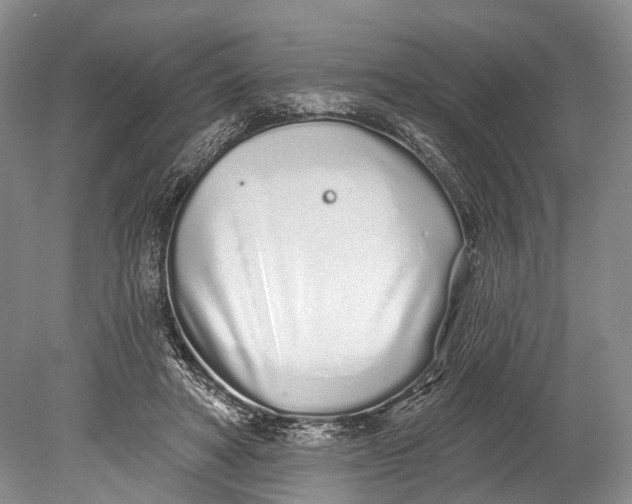 X0000078830402200612041818