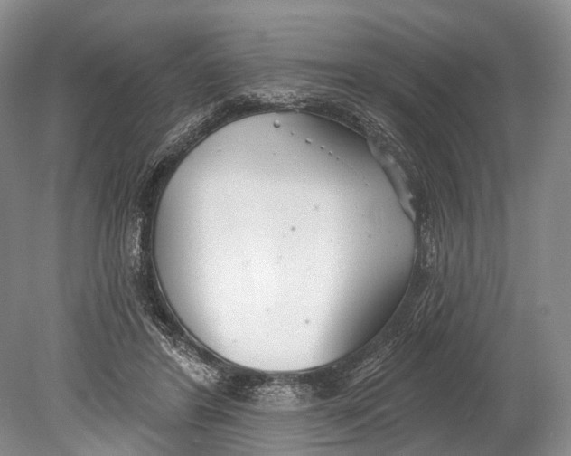 X0000078830404200612041818