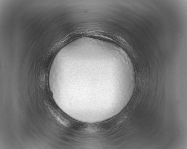 X0000078830405200612041818