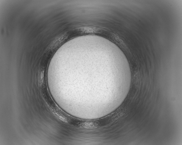 X0000078830406200612041818