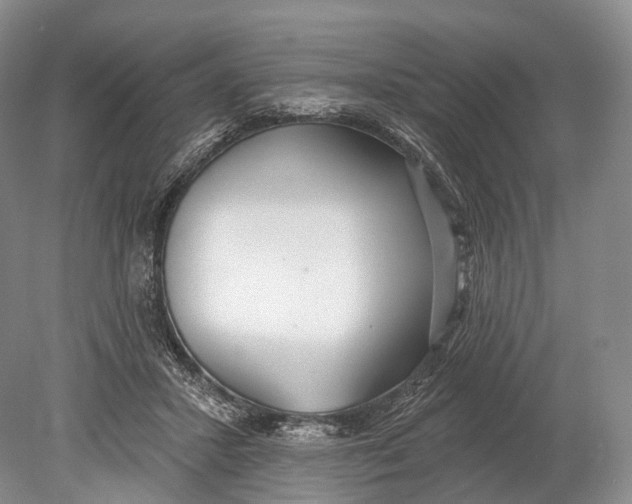 X0000078830407200612041818