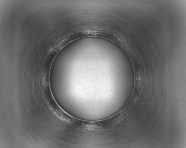 X0000078830408200612041818