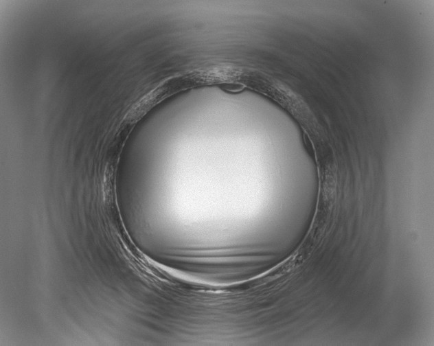 X0000078830409200612041818