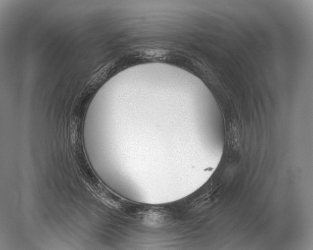 X0000078830412200612041818