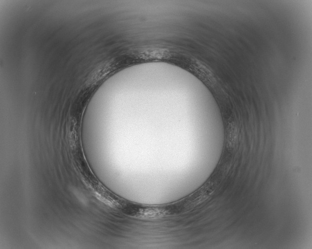 X0000078830414200612041818