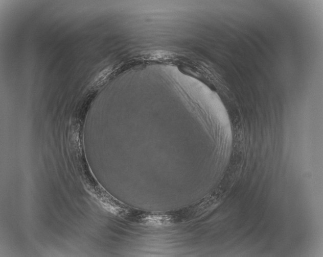 X0000078830415200612041818