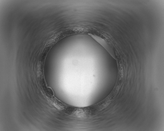 X0000078830416200612041818