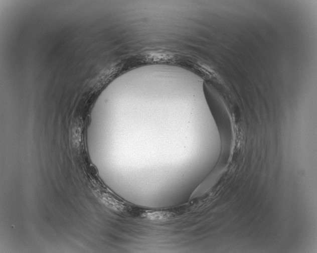 X0000078830417200612041818