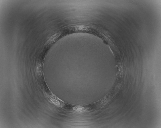 X0000078830419200612041818