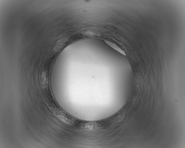 X0000078830420200612041818