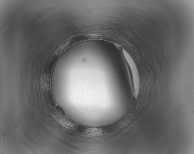 X0000078830421200612041818