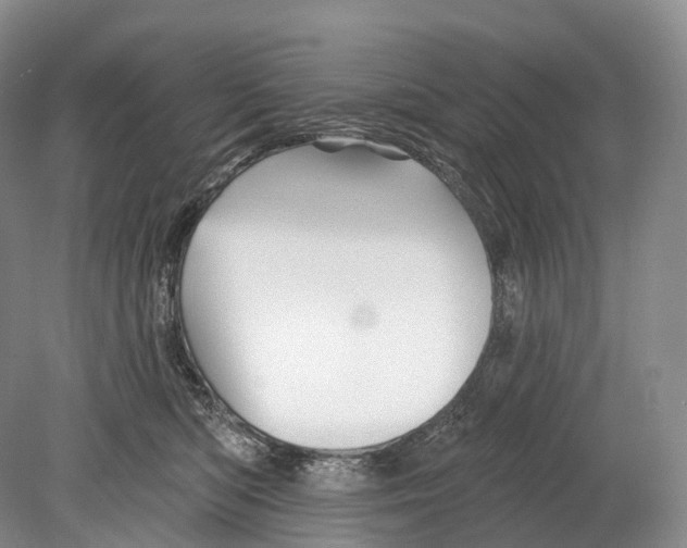 X0000078830422200612041818