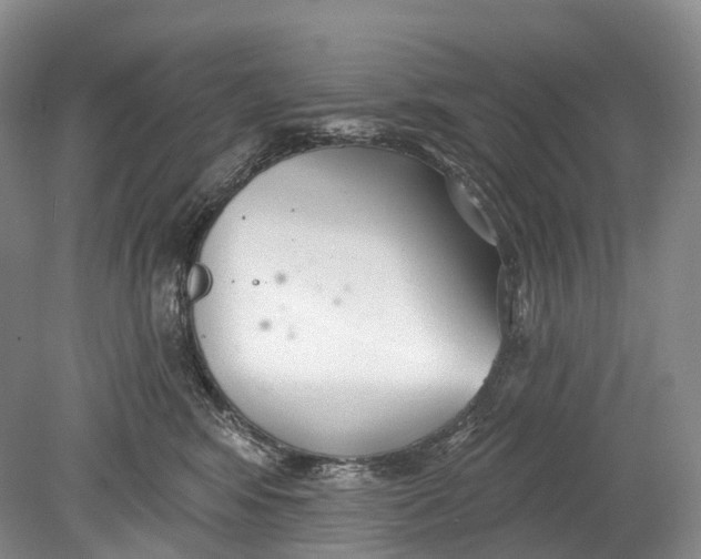 X0000078830424200612041818