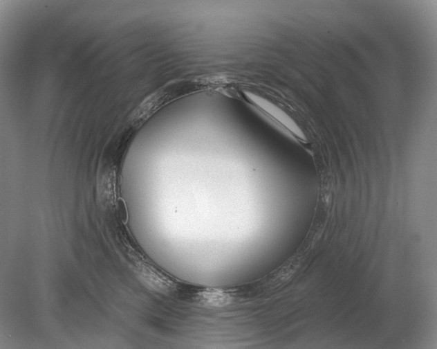 X0000078830425200612041818