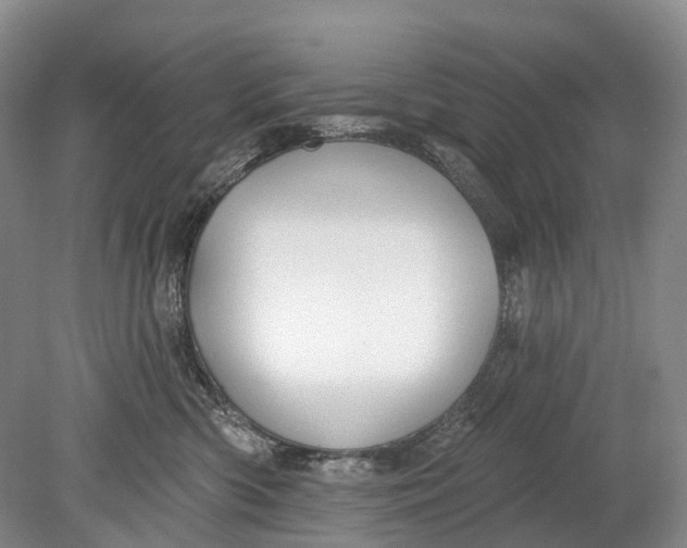 X0000078830426200612041818