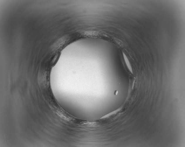 X0000078830428200612041818