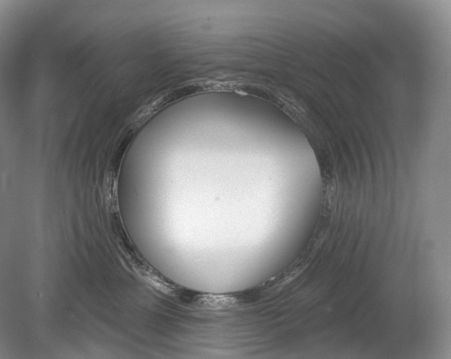 X0000078830429200612041818